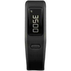 Garmin Vivofit Fitness Band
